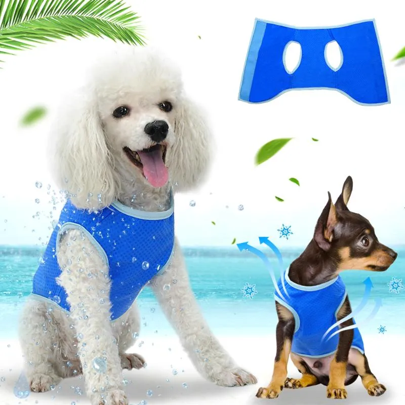 Collari per cani Guinzagli Summer Cooling Vest Harness Pet Mesh Cool per cani di taglia piccola e media 4 taglie XS S M L