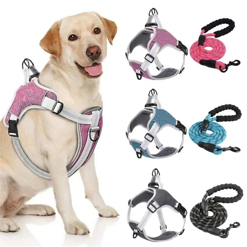Pet Vest Dog Harness och Leash Set Reflekterande Andningsbara Mesh Walking Harnesses Anti Pull för Små Medium Stora Tillbehör 211022