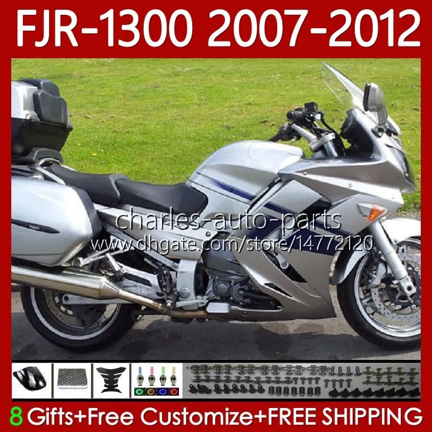 OEM-Karosserie für Yamaha FJR-1300 FJR 1300 A CC glänzendes Silber FJR1300A 01–12 Moto Bodys 108Nr