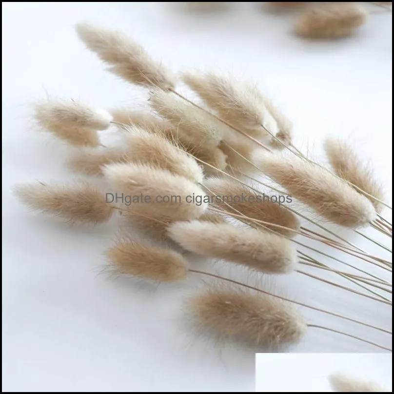 Decorative Flowers & Wreaths 60 Stems Pampas Grass Dried Flower Tail Natural Plants Floral Bouquet Home Decoration Accessories