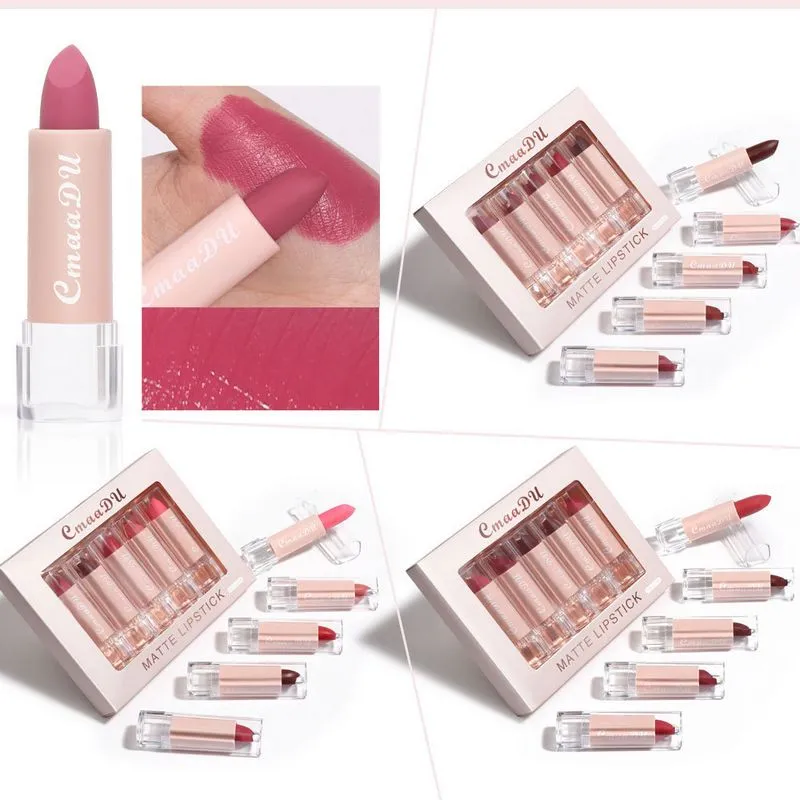 MSDS Certyfikowany 5 sztuk / zestaw Matowy Lip Gloss Semi-Matowy Wodoodporny Długotrwały Łatwy do Noszenia Makijaż Lipstick 24Sets / Lot DHL