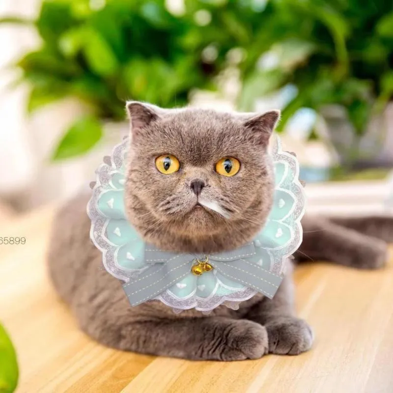 Colliers pour chat Laisses Collier pour animal de compagnie Écharpe en dentelle pour chien Chiot Bavoir écologique