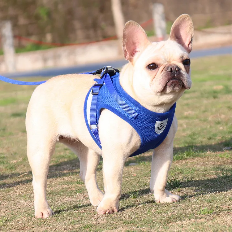 DHgate Reflective Dog Harness and Leash Set for Small Medium Dogs Breathable Pet Vest with Leash for Walking Jogging Pet Supplies