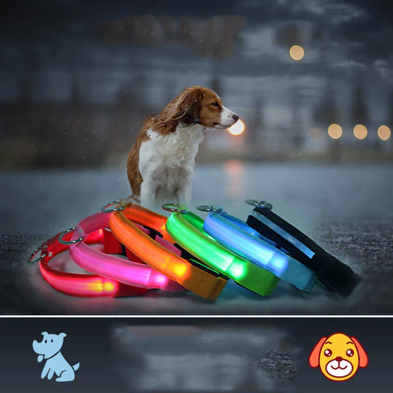 Farbe Pet Supplies XL Größe LED Hundekragen Blinklicht Kreative Nacht Safety Supplies Großhandel