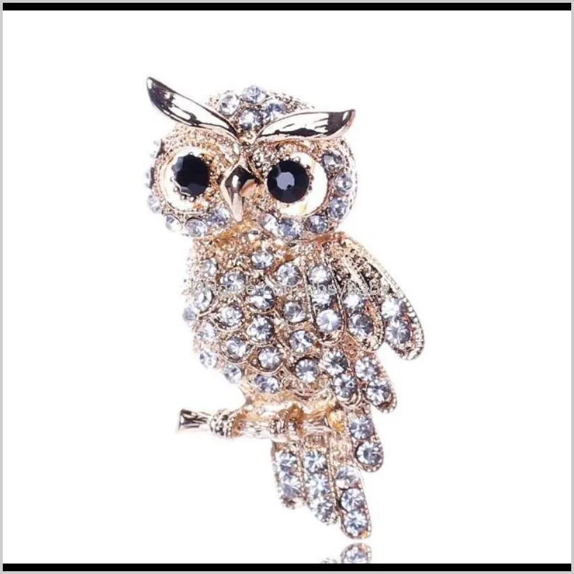 Pin Gioielli Delivery Dleive 2021 Visione della moda Crystal Owl Pins Broochi Sier o Bronzo Metal 5 Colori per Pin Spettatura a scelta PS2976 H4GCS