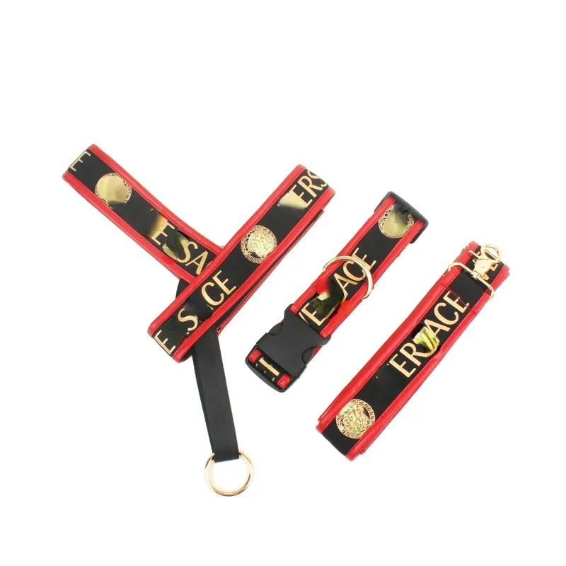 Small and Medium-sized Dogs Pet Products Fashion Leather Edge Bronzing Chest Strap Traction Rope Set Practical