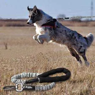 Smycze Dog Leash Supplies Collar Akcesoria S Zwierzęta Pas Pas Zwierzęta 211006