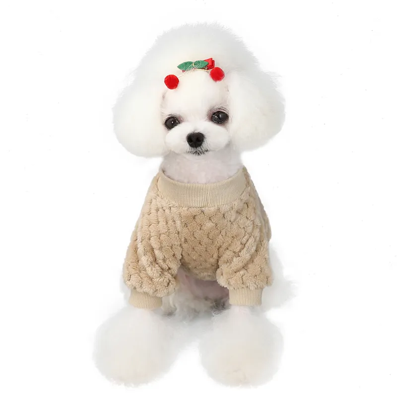 Pull pour chien amazon outlet