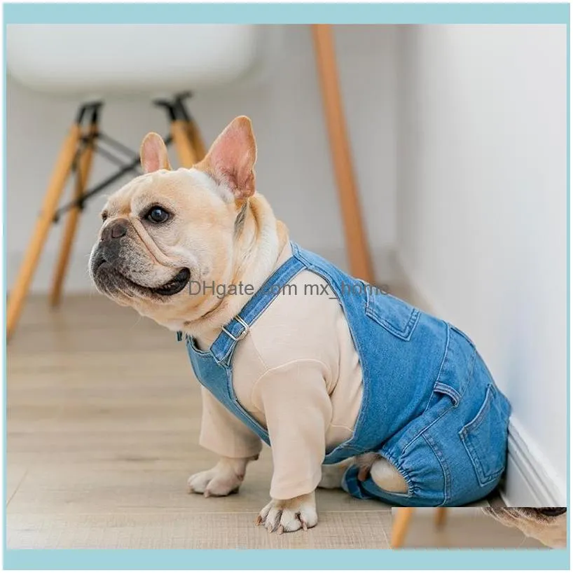 Dostawy odzieżowe Home GardenWinter Mały Średni Kostium Denim Odzież Pet Dla Psy Płaszcz Jeans Puppy Pm Psów Ubrania Ropa Perro 201126 DRO