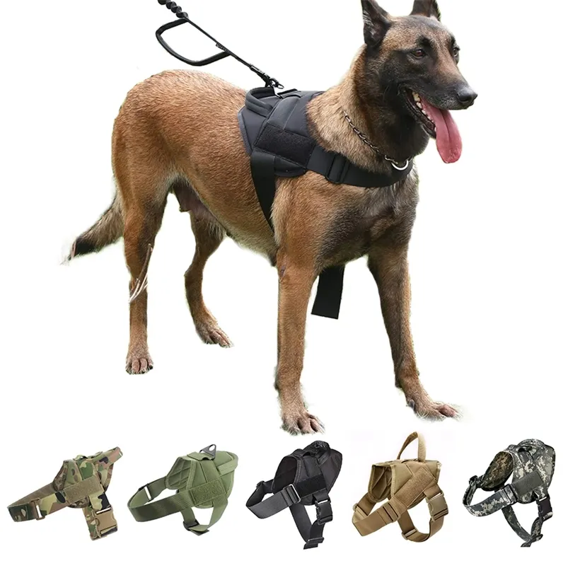 Harnais de chien Shepherd allemand Berger pour chien Collier Harnais Service de chien Vest de chien avec accessoires pour petits chiens 210729