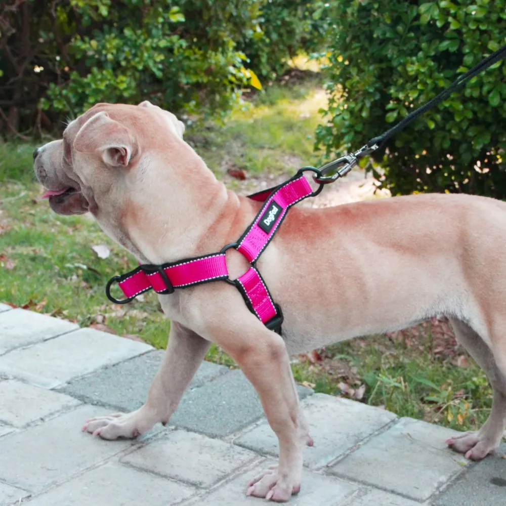No-Pull-Hundegeschirr, einfaches An- und Ausziehen, Haustierweste, zum Gehen, Laufen, schnelle Passform, reflektierend, für das Training kleiner, mittlerer und großer Hunde