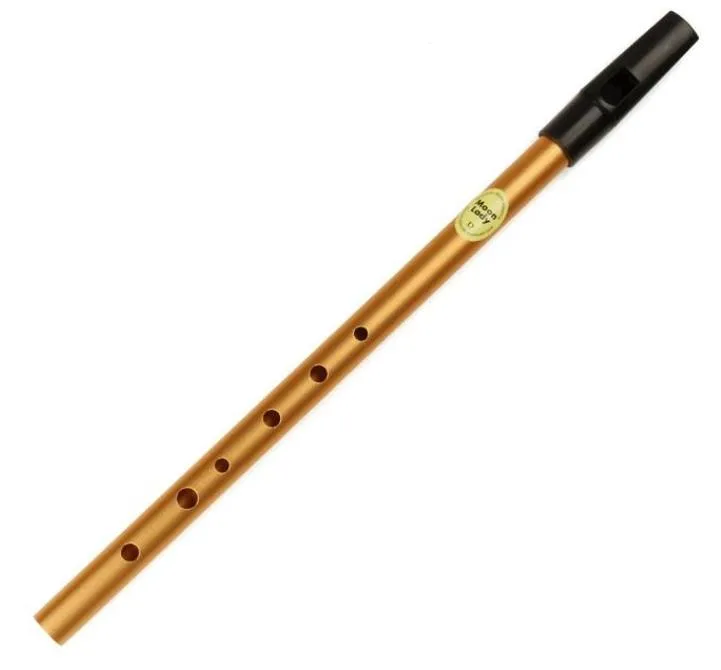 Metal recorder instrument clearance