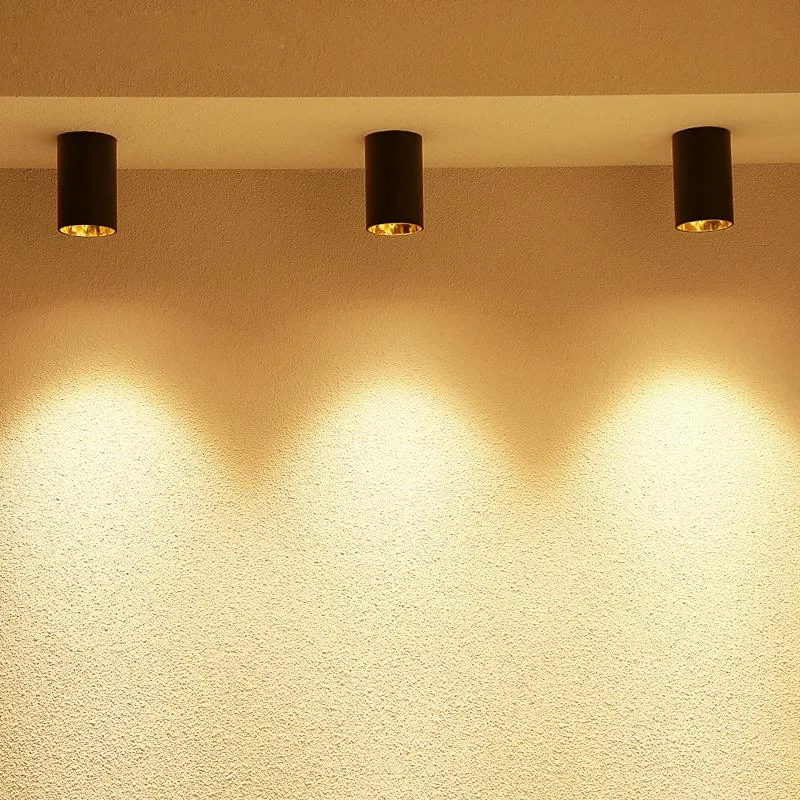 Ceiling Lights LED Single Spot Lamps Illumination 12W Light Aluminum Lamp Body Decorations Lighting For Home
