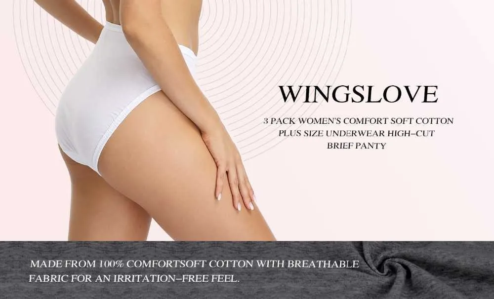 4 Pack Sexy Seamless Panties – WingsLove