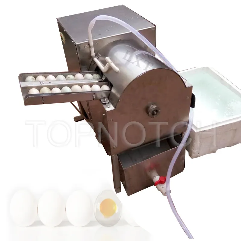 IStainless Steel Borste Washing Egg Machine Rengöring Dirty Duck Eggs Maker Washer och Cleaner