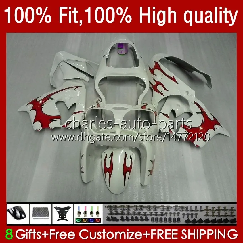 パーツ NOVACORONA OEM Red Flames Injection White Mold sky bodywork for