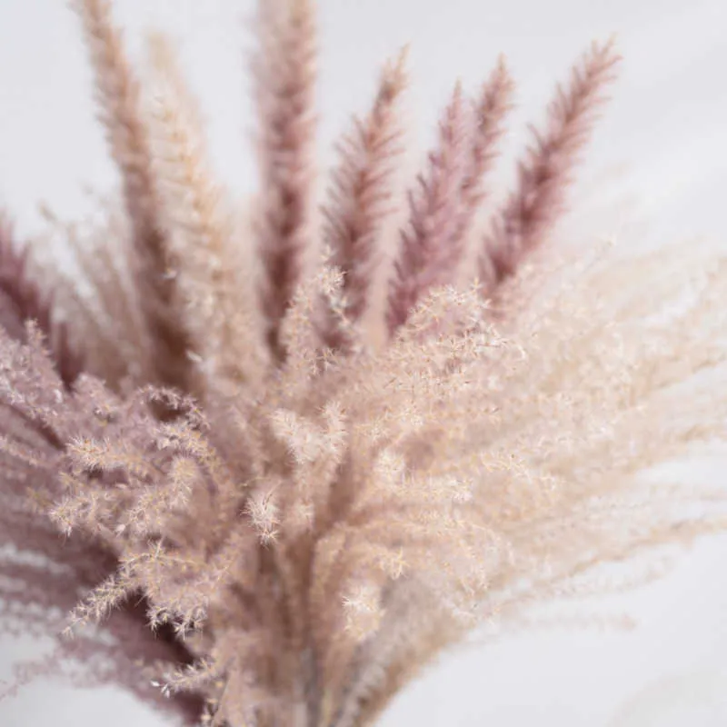 Decorazione di grano reale Pampa naturale Coda di coniglio Erba Fiori secchi per la festa nuziale Fai da te Craft Typha Lagurus ovatus Phragmites Y0630