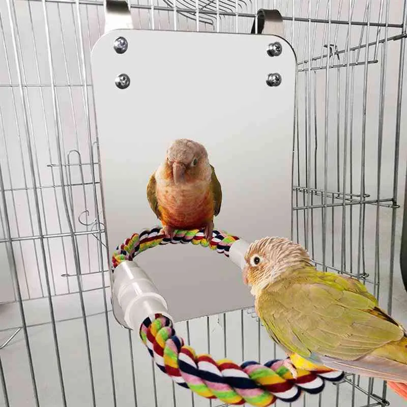 Espelho de birdcage de pássaro de aço inoxidável criativo com corda poleiro papagaio picada de brinquedo animal de estimação suprimentos gaiola decoração acessórios
