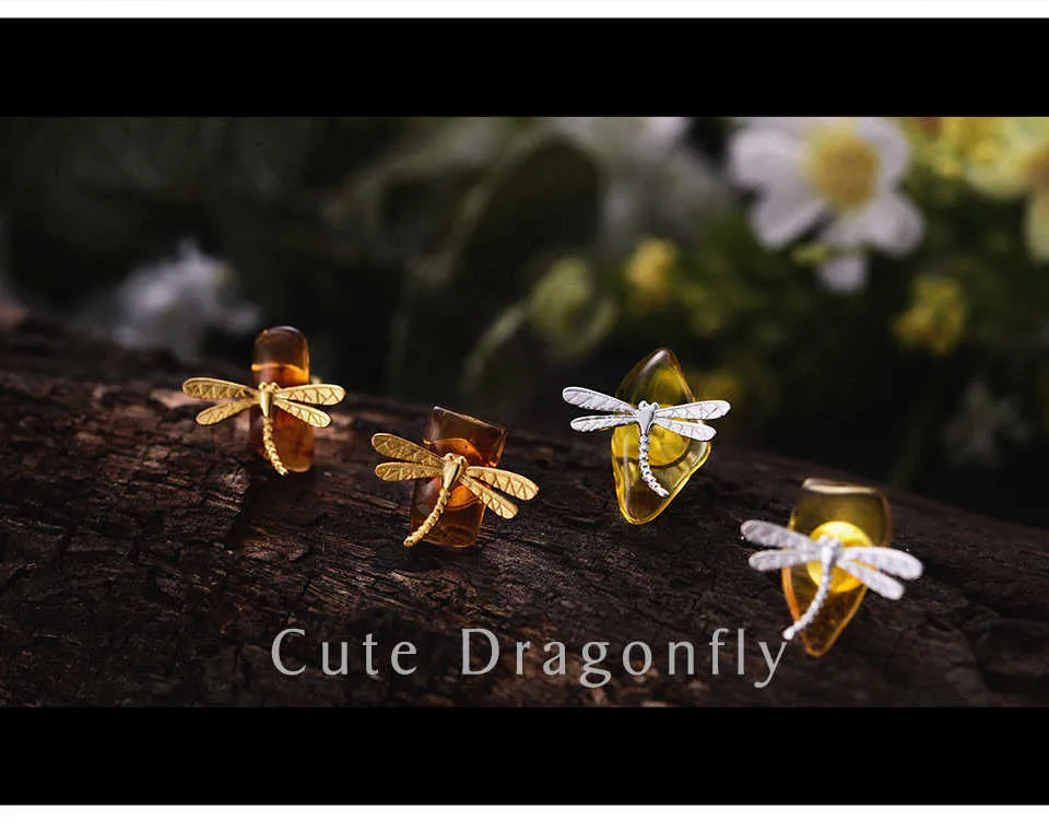 Cute-Dragonfly-LFJA0052_02