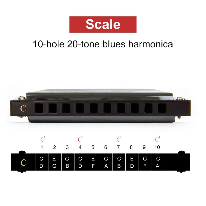 10-Trou Diatonic Blues Harmonica Clé de pour les Adultes Professionnel  Durable Robuste 