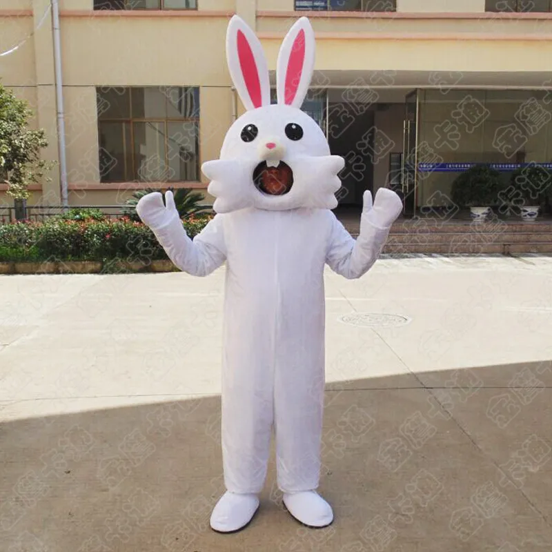 Costume de lapin de Pâques, Mascotte de lapin de Pâques sur tout le corps, Homme