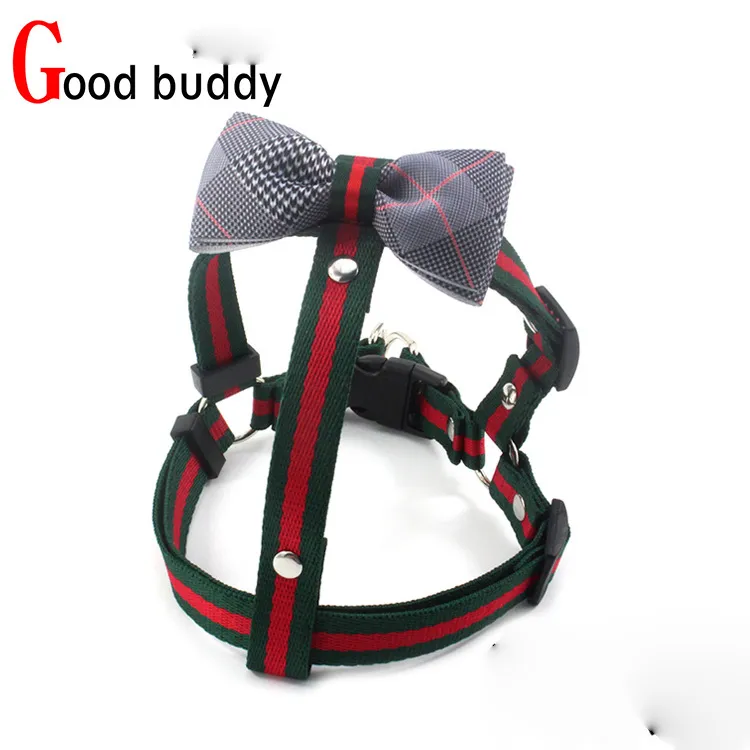 Halti buddy sale