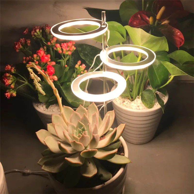 Angel Drie Ring Grow Light DC5V USB Phytolamp Planten LED Full Spectrum Lamp voor Indoor Plant Zaailingen Home Bloem Succulet