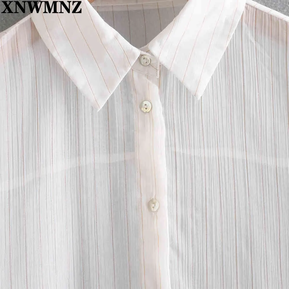 トップス Eaphi SHEER FLAT COLLAR BLOUSE SHEER FLAT COLLAR BLOUSE