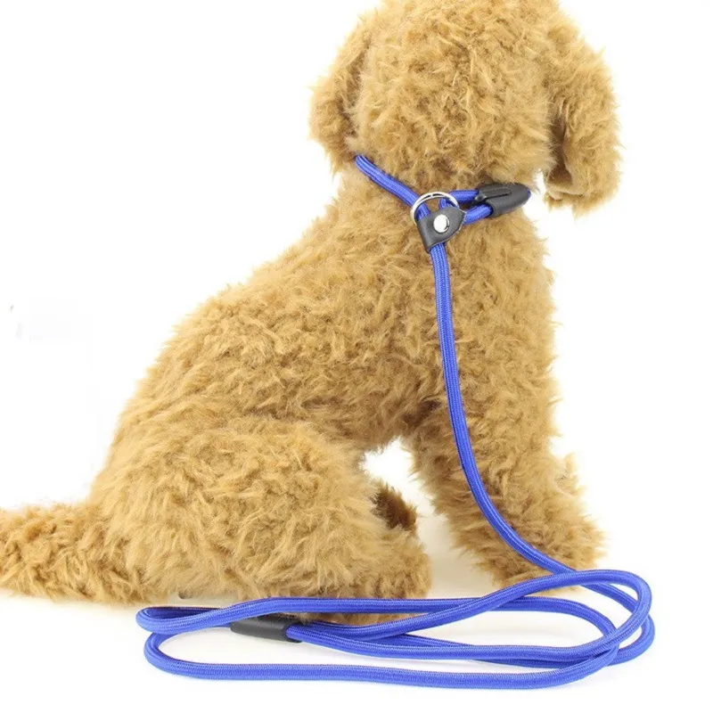 0.8*135cm Adjustable Nylon Dog Leash Pet Rope Training Leashes Collar Slip Lead Strap Collars Ropes