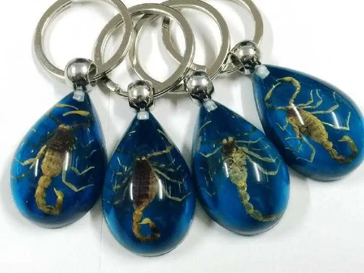12 Pcs Blue Keychain Real Scorpion Keyring Resin Taxidermy Unique Insect Bug Gift