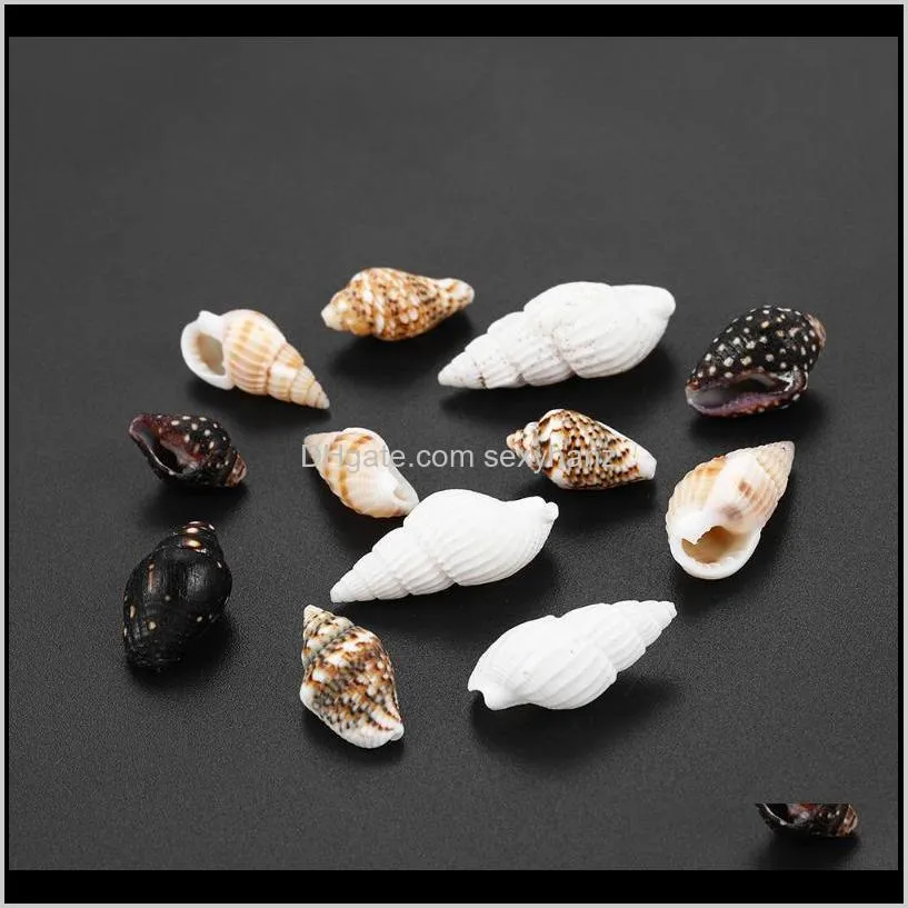 50g/lot Natural Small Conch Shape Craft Shell DIY For Jewelry making Necklace Chain Epoxy Craft Seashell Accessories Supplies