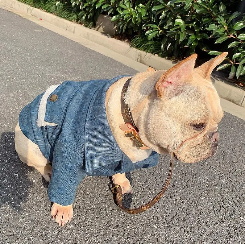 Hundebekleidung, modisches Designer-Hundehemd in Blau mit Taschen, Logo-Druck, Haustierkleidung
