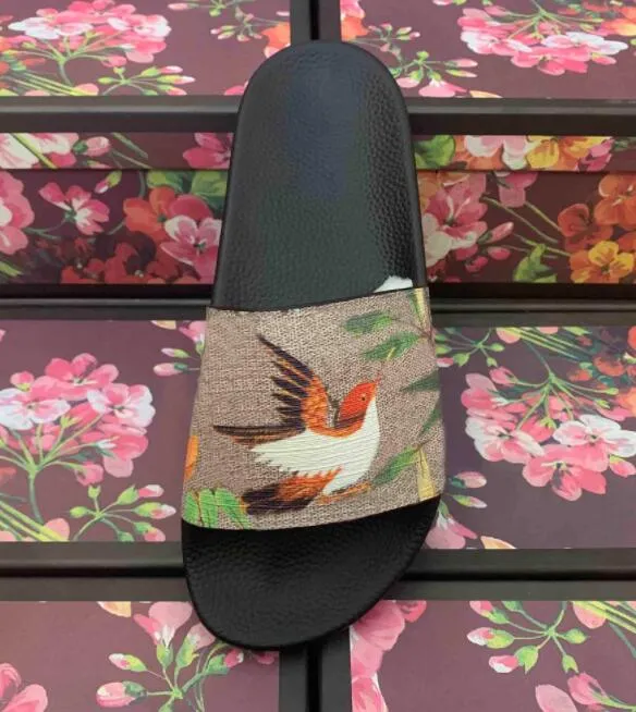 Gucci Designer Leather Sandals With Buckle Detail Unisex Classic Flat Bee Slippers For Beach And Fashion From Luxuryfrance18 9.39 DHgate.Com