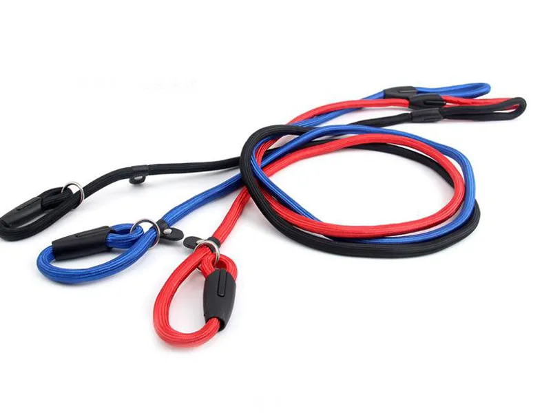 Cesar dog leash sale