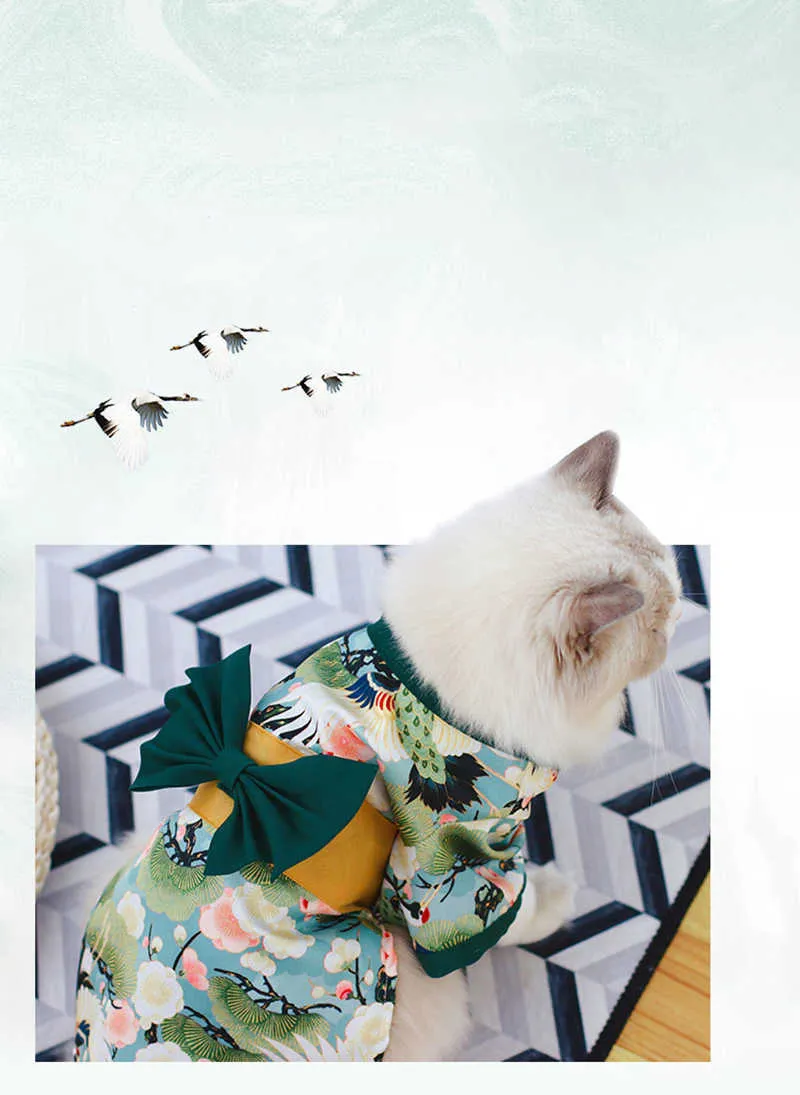 Femelles Reproductrices British – Sweet Cat's La Chatterie, image size:800x1095