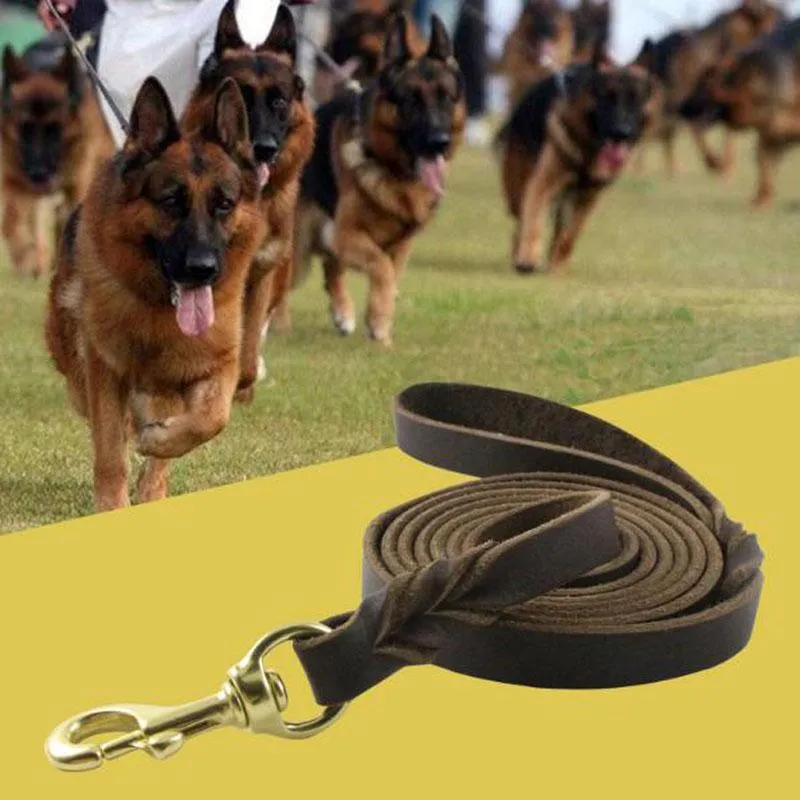 Dog Collars & Leashes HSWLL Leash Cowhide Leather Braided Lead For Small Medium Dogs Walking Running Training Durable