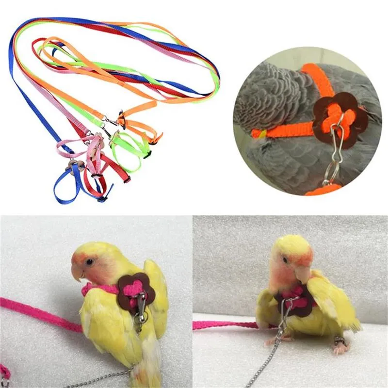 Pet Parrot Traction Strap Huisdier Anti-Bite Training Touw Outdoor Touw Pet Riem Verstelbare Bird Harness voor Hamster Lizard