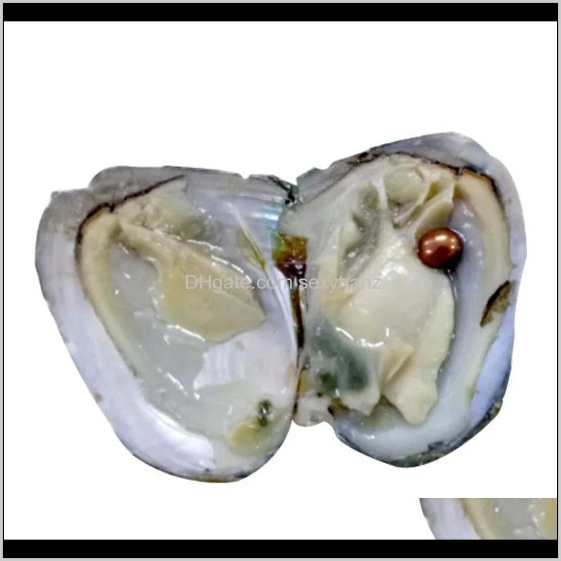 wholesale oysters with dyed natural pearls inside pearl party oysters in bulk open at home pearl oysters with vacuum packaging