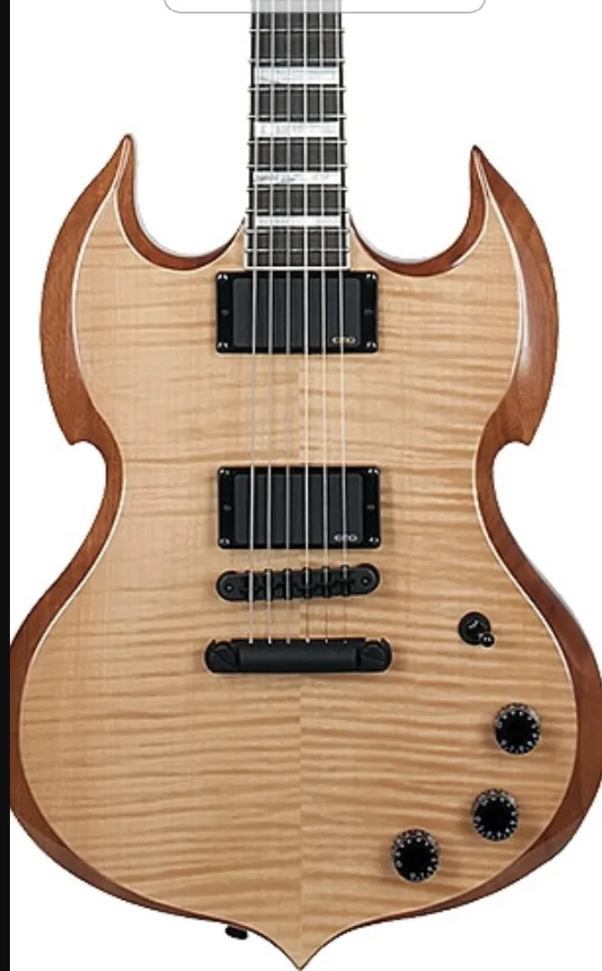 Rare Wylde Audio Barbarian Natural Flame Maple Top SG Guitare électrique Large Block Inlay, Black Hardware, Grover Tuners, 3 Boutons