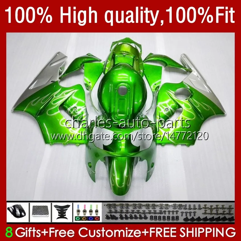 Injectie voor Kawasaki ZX1200 ZX 12R 1200cc Silvery Green ZX12R 02 03 04 05 06 52HC.21 ZX 12 R ZX-12R 2002 2003 2004 2005 2006 OEM-VALERINGEN