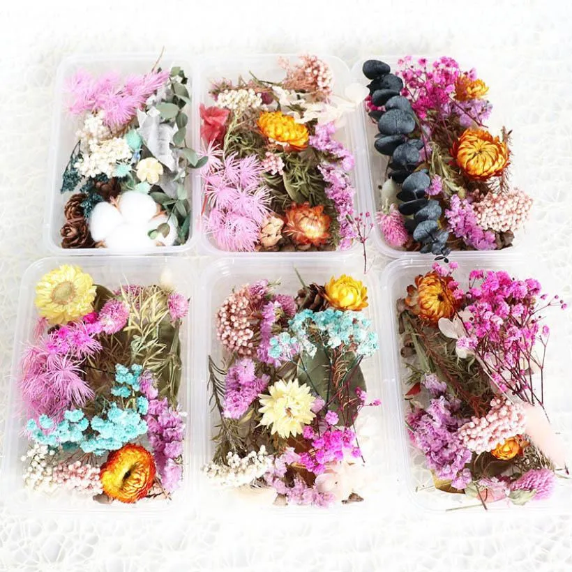 new 1 Box Real Dried Flower Dry Plants For Aromatherapy Candle Resin Pendant Necklace Jewelry Making Craft DIY Accessories EWD5785