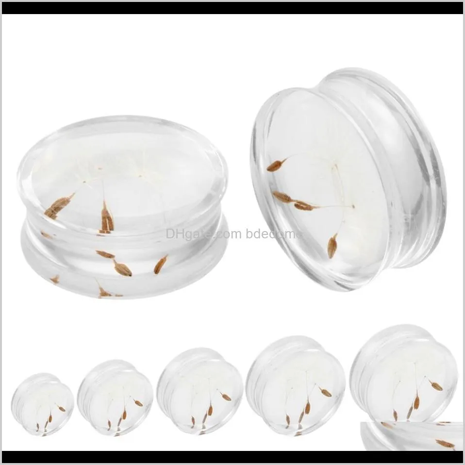 2pcs/lot white dandelion flower ear plug acrylic flesh ear plug tunnel expander gauges body piercing jewelry 10mm-25mm