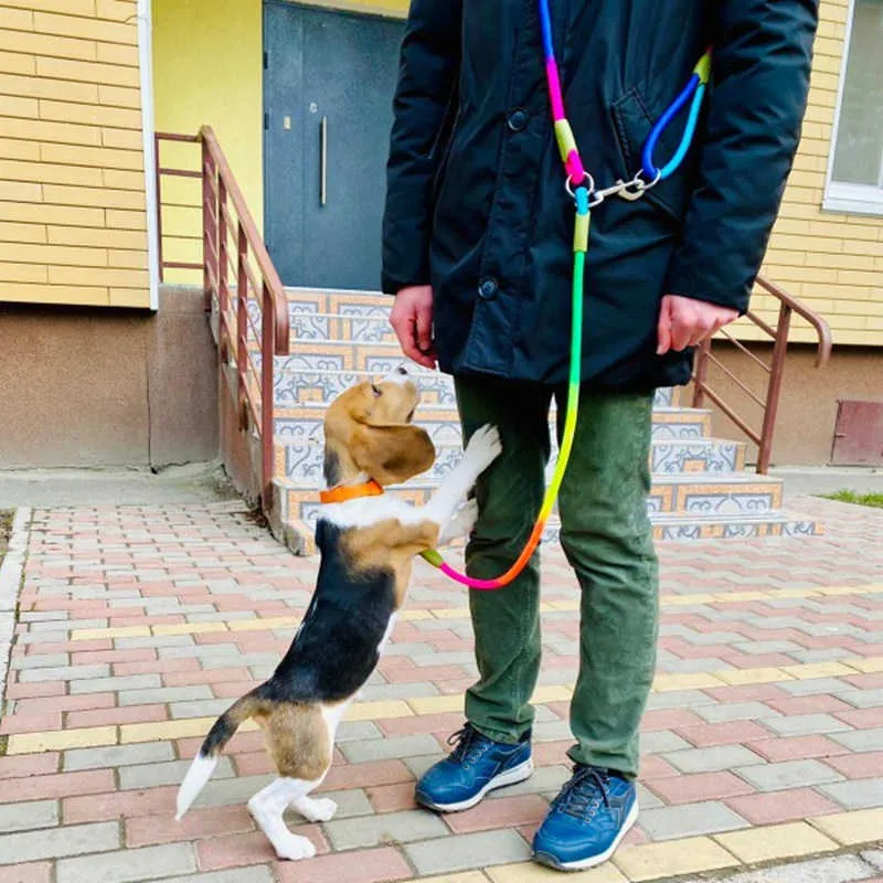 Hund sele koppel sele leder för hundar som går slung axelhänder gratis koppelhack hundkedja dubbelhuvud koppelhundar walker 210712