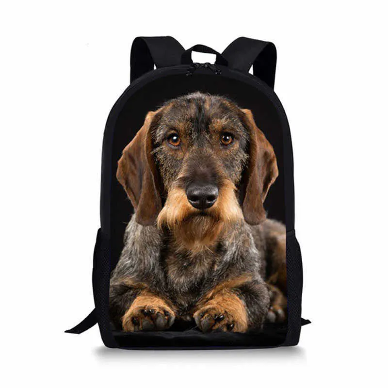 Zaino per sales cane bassotto