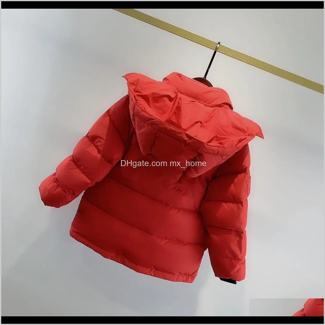 hooded thickened imported white duck down warm down jacket high-tech back luminous pressure wind boys and girls jacket shipping