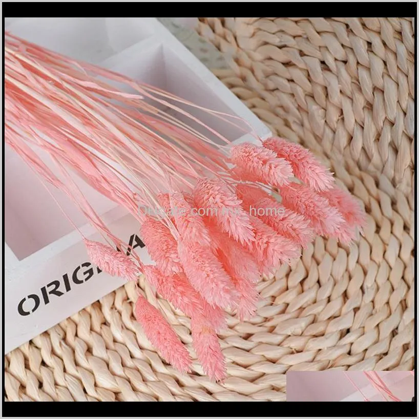 30pcs/lot gradient natural dried flowers bouquet wedding home easter decorations tail grass real valentine`s day decorative & wreaths
