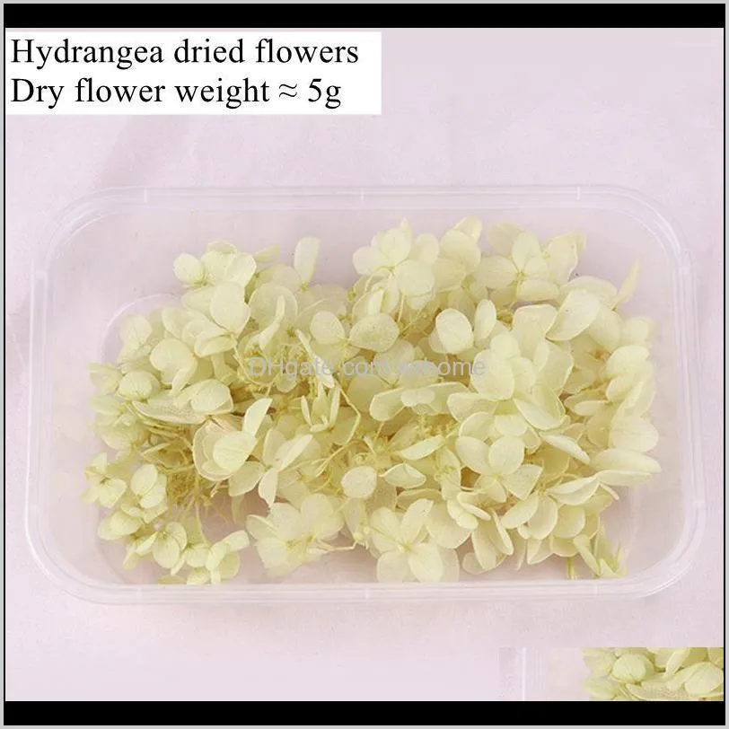 luanqi 1box real dried flower eternal small leaves hydrangea diy flowers natural bouquet wedding accessories decorative & wreat