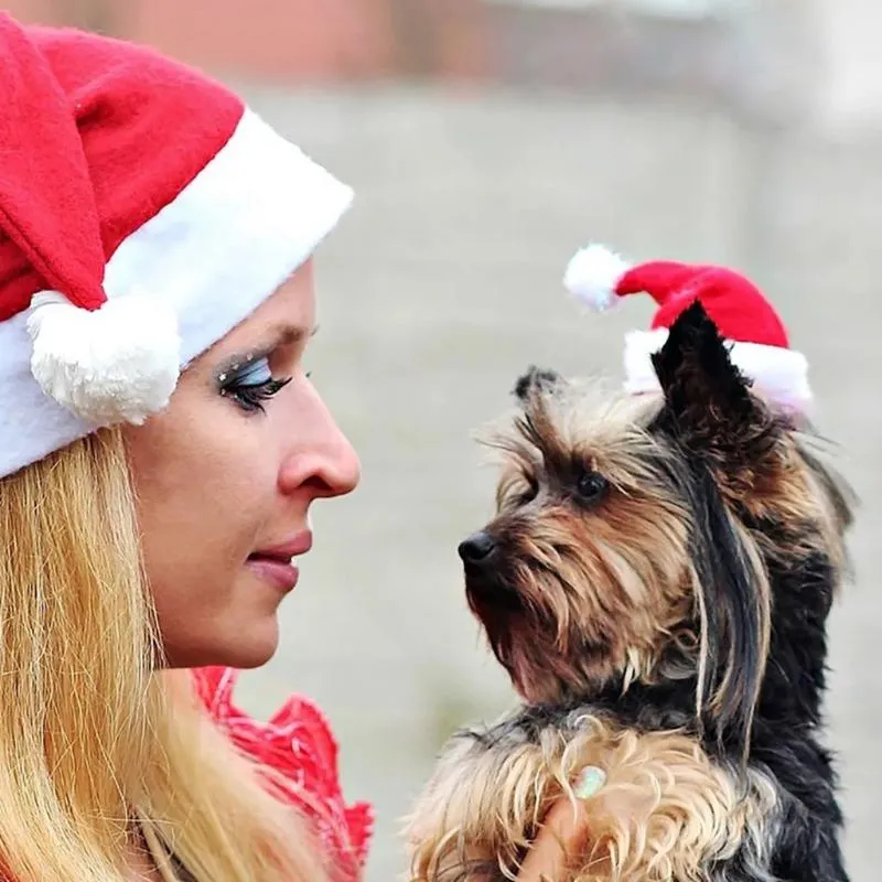 Köpek giyim kedi santa şapkası pelerin posta evcil hayvan kostümü xmas kedi yavrusu köpek kırmızı kapaklar parti Noel şapkaları evcil hayvan aksesuarları