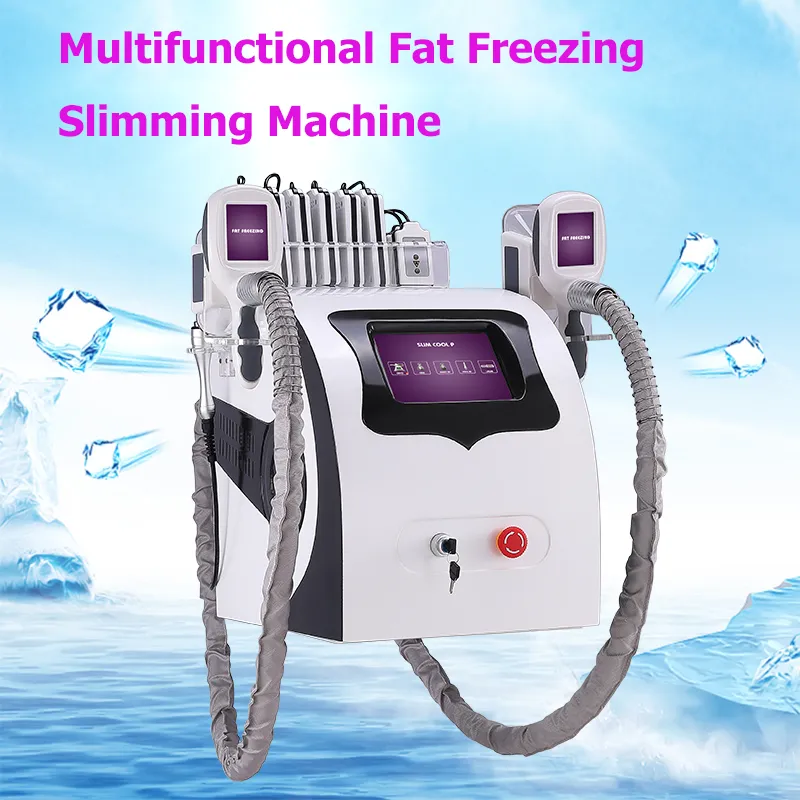 Profesyonel Cryolipolysis Makinesi Fiyat Muntifuctional Yağ Hücrelerini Ortadan Kaldırır Donma Makineleri Çilek Lazer Lipo Cryo Cooladvantage Coolmini CE Onaylı