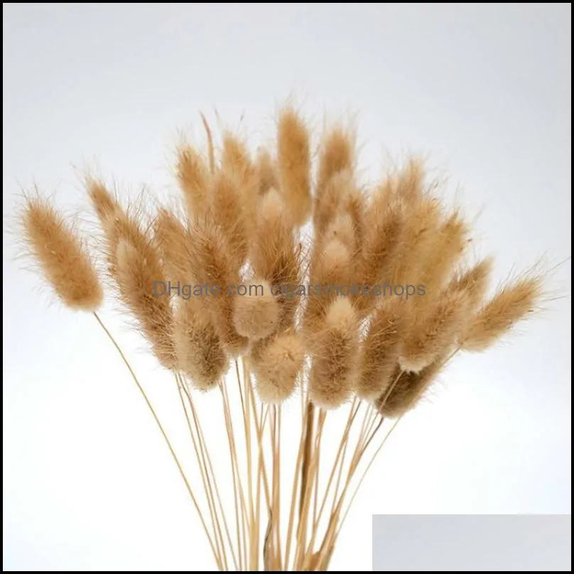 Decorative Flowers & Wreaths 60 Stems Pampas Grass Dried Flower Tail Natural Plants Floral Bouquet Home Decoration Accessories